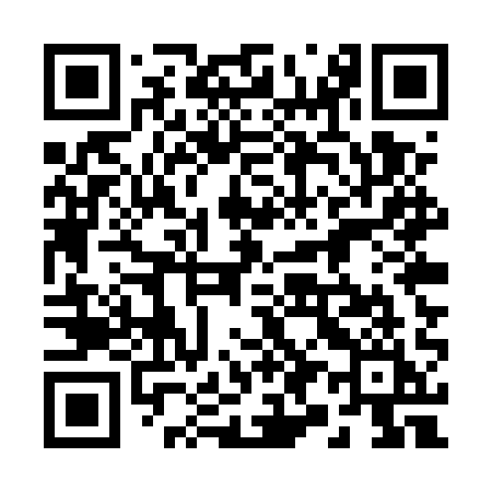 QR code for 295UQI