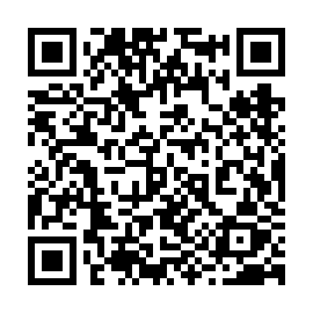 QR code for 295VKZ