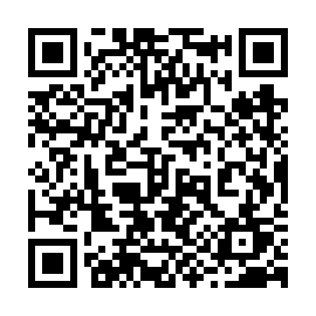 QR code for 295VST