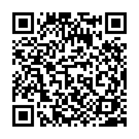 QR code for 295XGK
