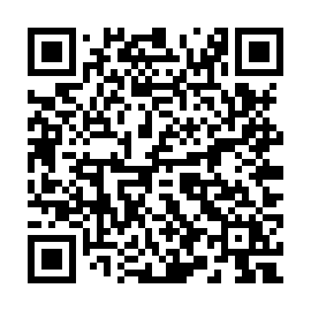 QR code for 295XZX