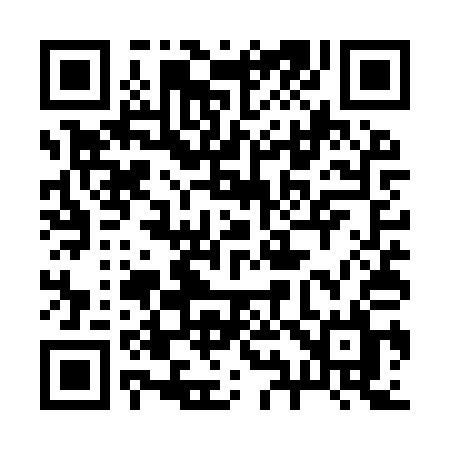 QR code for 295YQL