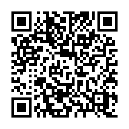 QR code for 295YSX