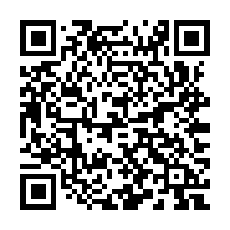 QR code for 295YZA