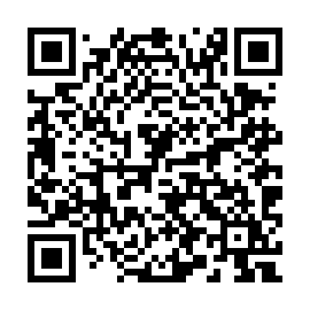 QR code for 296DIY