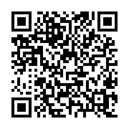 QR code for 296IMM