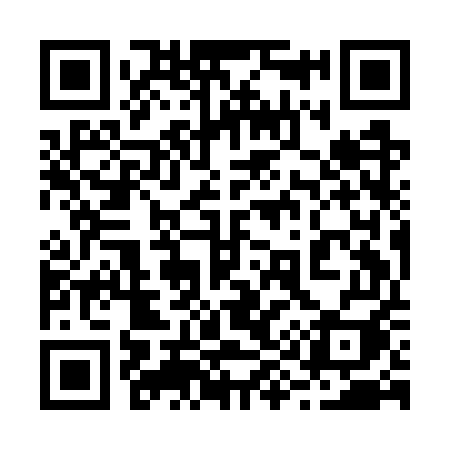 QR code for 299GUI