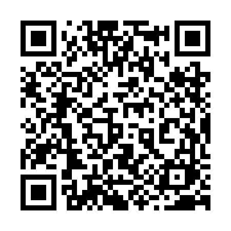 QR code for 299SFM