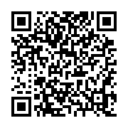 QR code for 299SNO