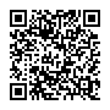 QR code for 299STM