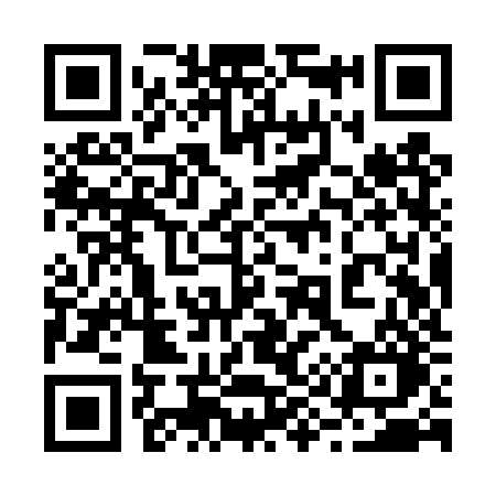 QR code for 299TZO
