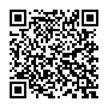QR code for 300OLE