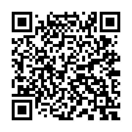 QR code for 300VIM