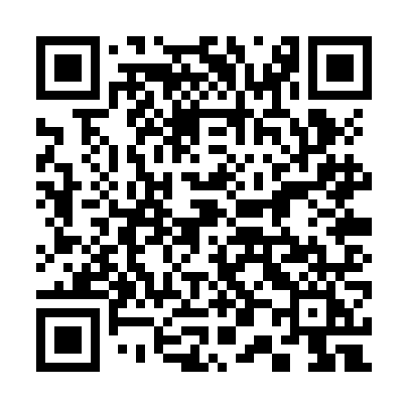 QR code for 300ZNI