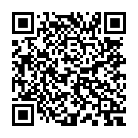 QR code for 303LUB