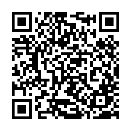 QR code for 303PMV