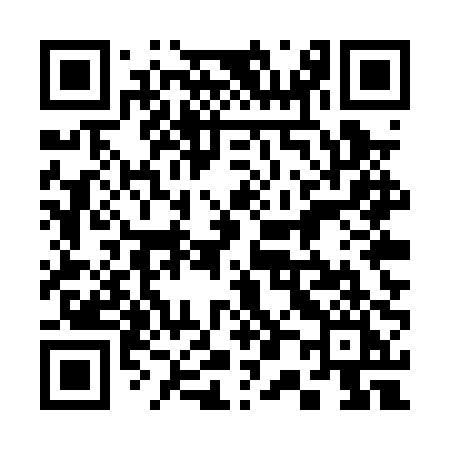 QR code for 305PPI