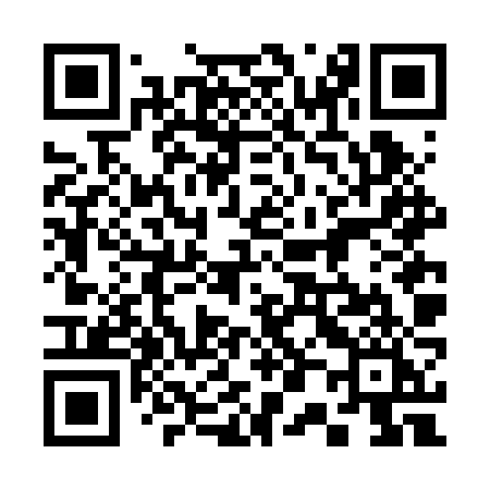 QR code for 306BZI