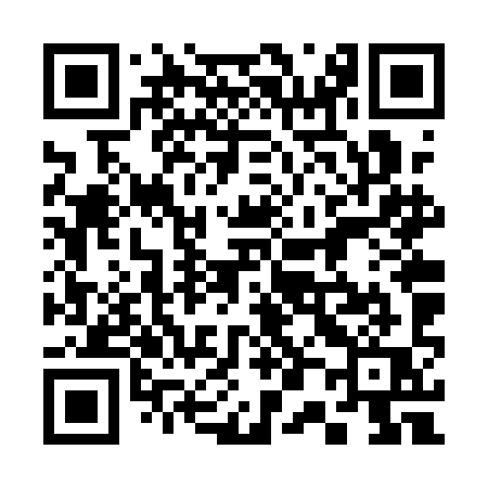 QR code for 306QIQ