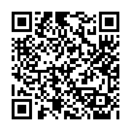 QR code for 307BFX