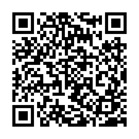 QR code for 307RUR