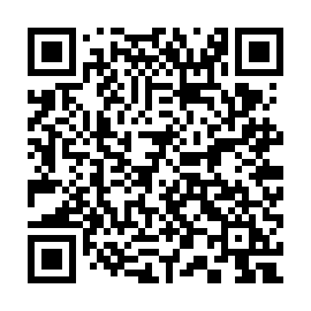 QR code for 307VEI