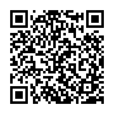 QR code for 307XDS
