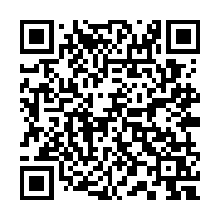 QR code for 309WMS