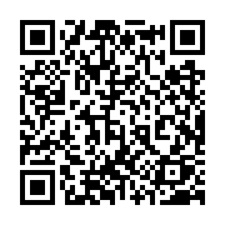 QR code for 310WSP