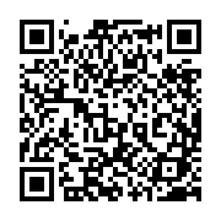 QR code for 310ZDI