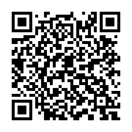 QR code for 311DSG