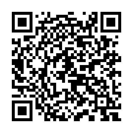QR code for 311EII