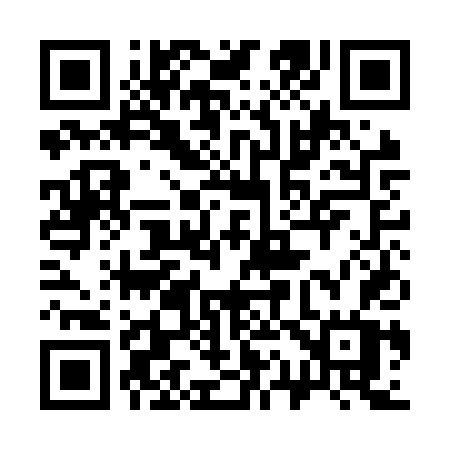 QR code for 311NTW