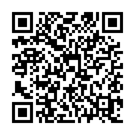 QR code for 311PII