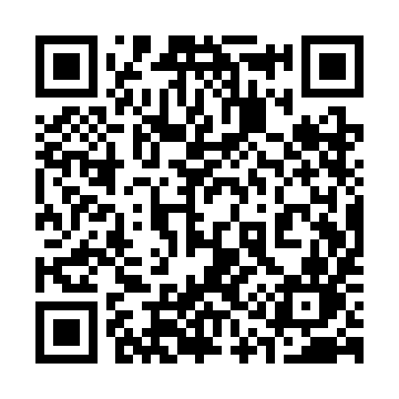 QR code for 311SIN