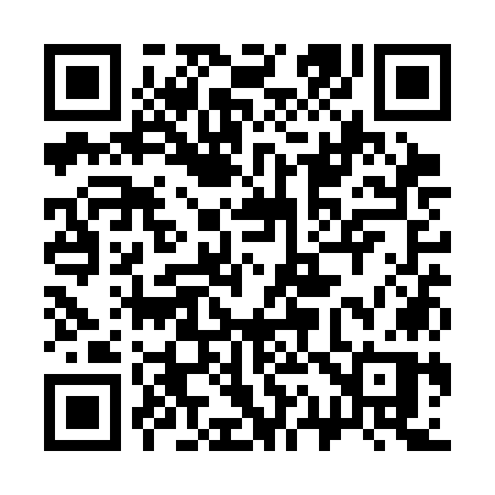 QR code for 311SOP