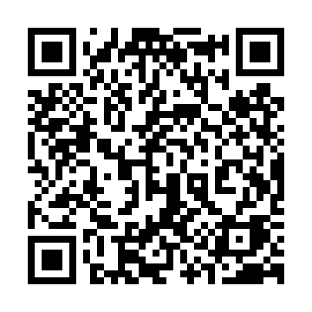 QR code for 311TSA