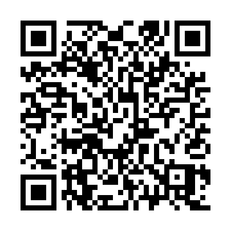 QR code for 311UAQ