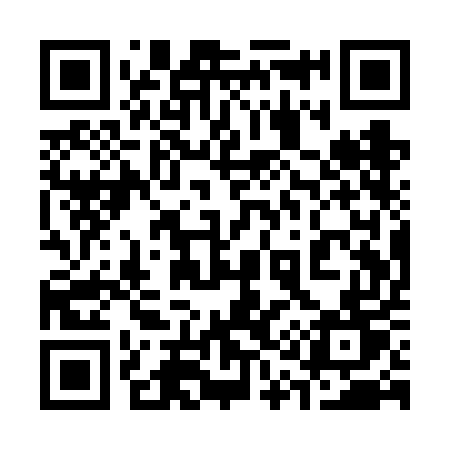 QR code for 311VET