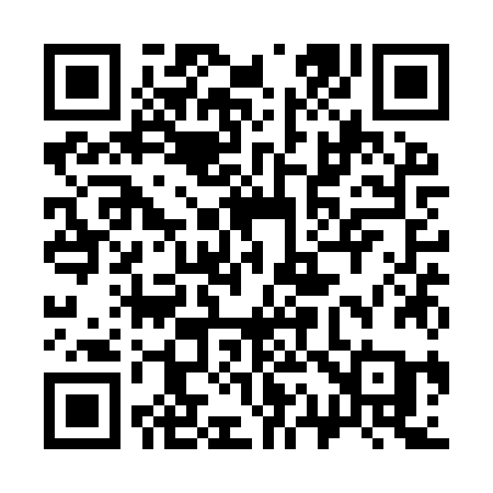 QR code for 311YZA