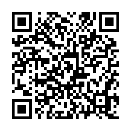 QR code for 311ZGO