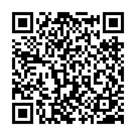 QR code for 313BAS