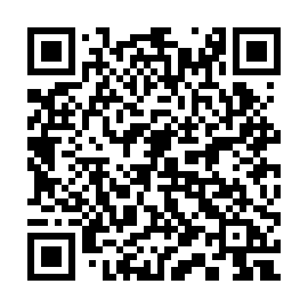 QR code for 313BPA
