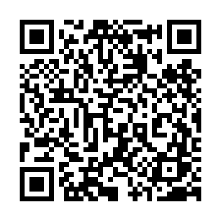QR code for 313DFS