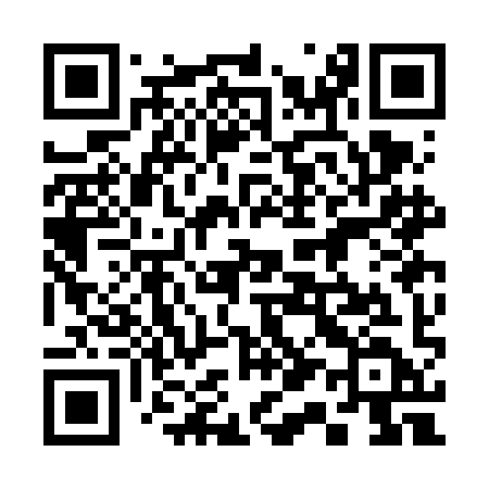 QR code for 313FID