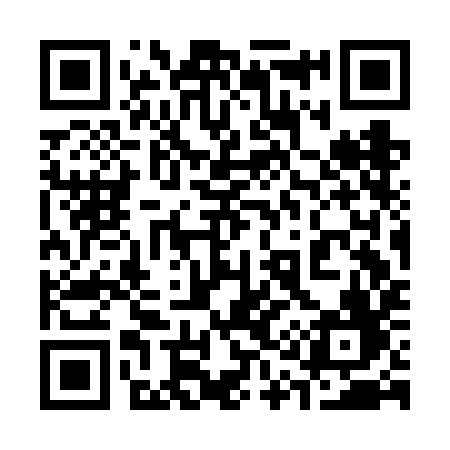 QR code for 313FIF
