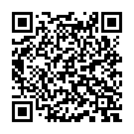 QR code for 313KTS