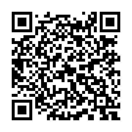QR code for 313LAE