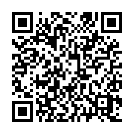 QR code for 313MIX