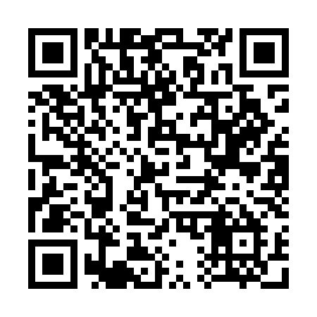 QR code for 313MLM